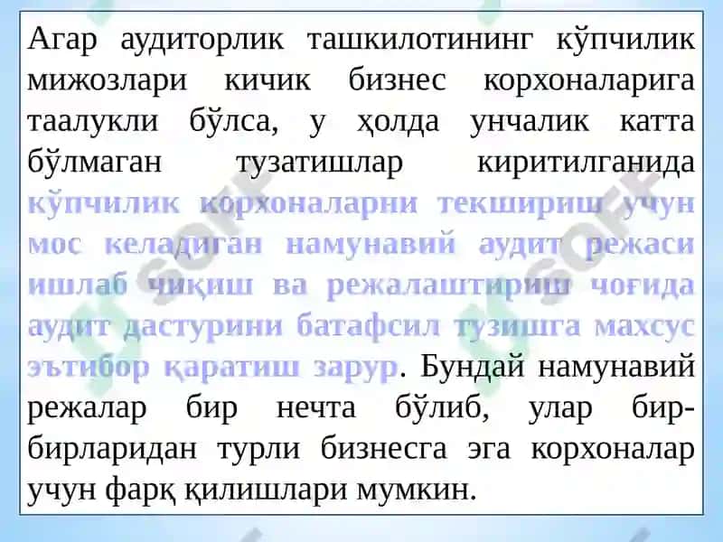 Auditorlik tekshiruvini rejalashtirish 6