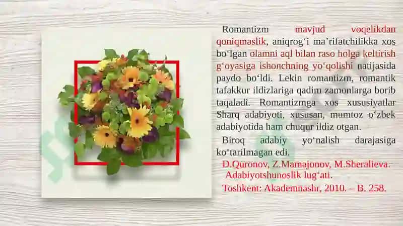 Romantizm adabiyoti 6