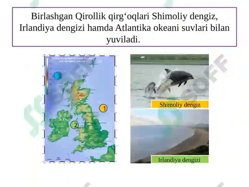 Buyuk Britaniya va Shimoliy Irlandiya Birlashgan Qirolligi 6