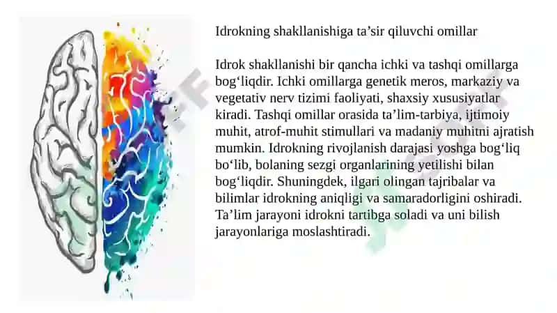 Idrokning neyrofiziologik mexanizmlari 6
