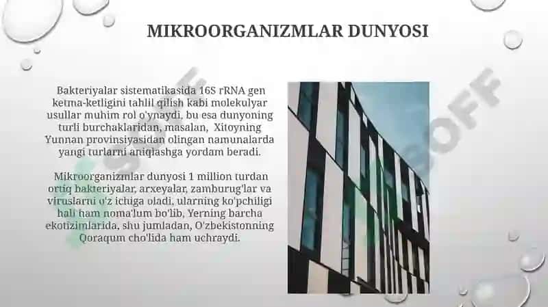 Mikroroorganizimlar va ularning sistimatikasi 6