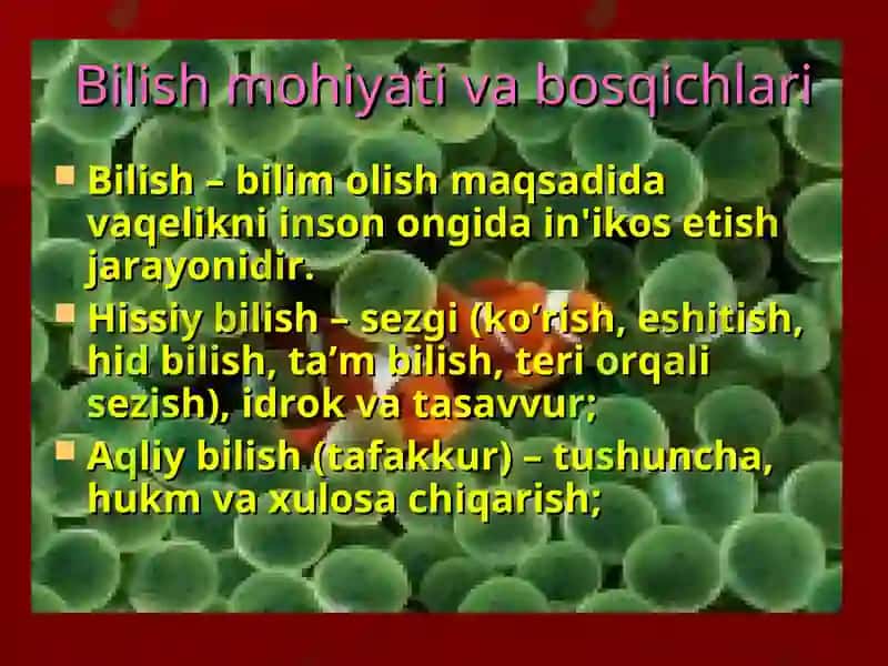 Mantiq fanidan ma’ruzalar 6
