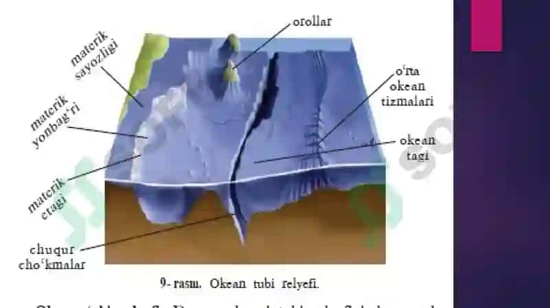Okean rub'oiy tuzilishi 6