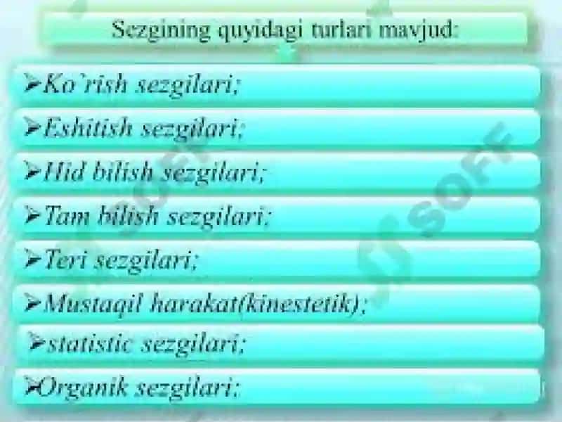 Sezgi turlari va uning qonuniyatlari 6