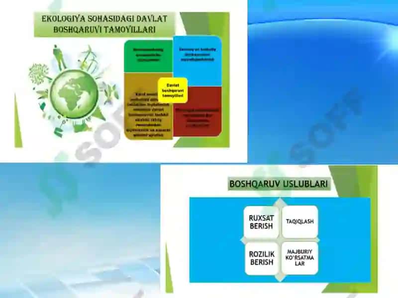 Ekologiya sohasidagi davlat boshqaruvi uning prinsiplari, shakl va funksiyalari 6