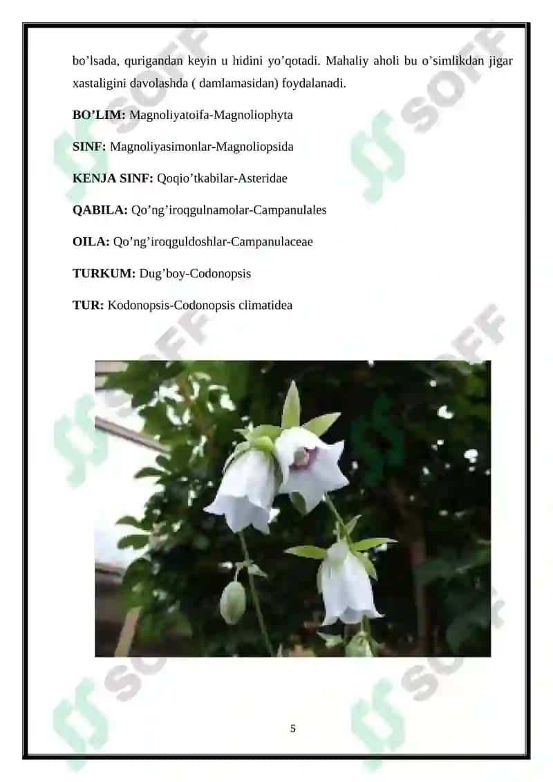 TEMIRDARAXT KABILAR HAQIDA 6
