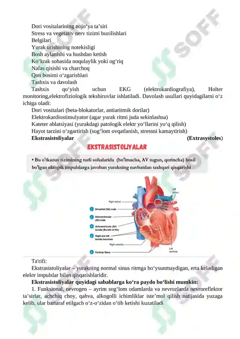 Yurak qo'zg'aluvchanligi buzilishi Patofiziologiyasi 6