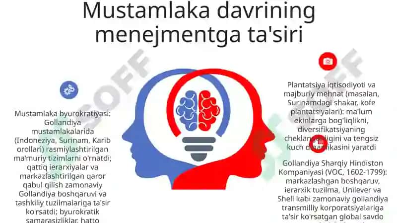 Zamonaviy Gollandiya menejmenti 6