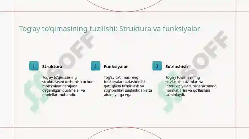 Tog‘ay to‘qimasining regeneratsiyasi va transplantatsiyasi.Suyak to‘qimasing minerallashuvi,uning tartibga solinishi va buzilishlari. Suyakning o‘sishiga tasir qiluvchi omillar 6