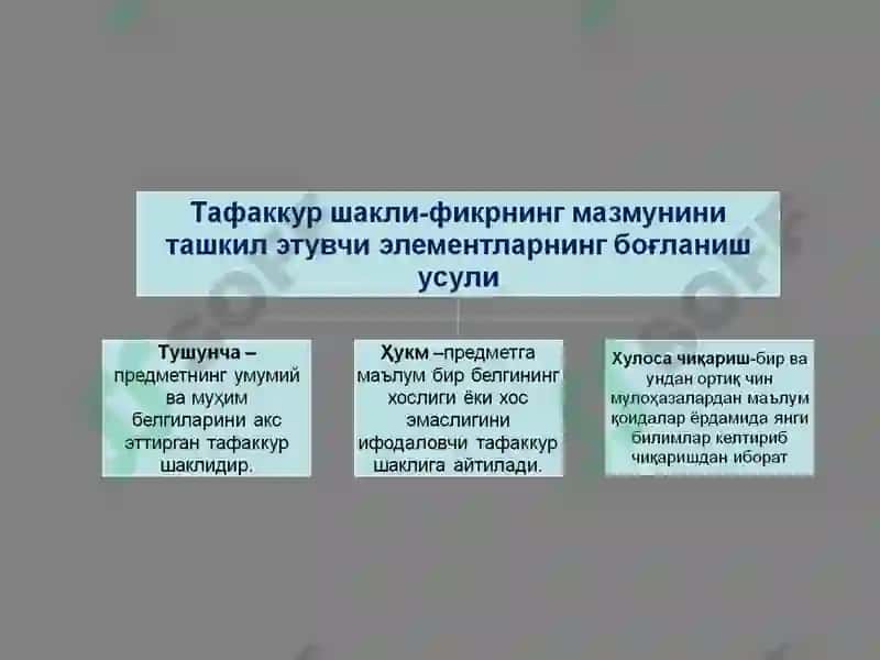 Тушунча тафаккур шакли сифатида 6
