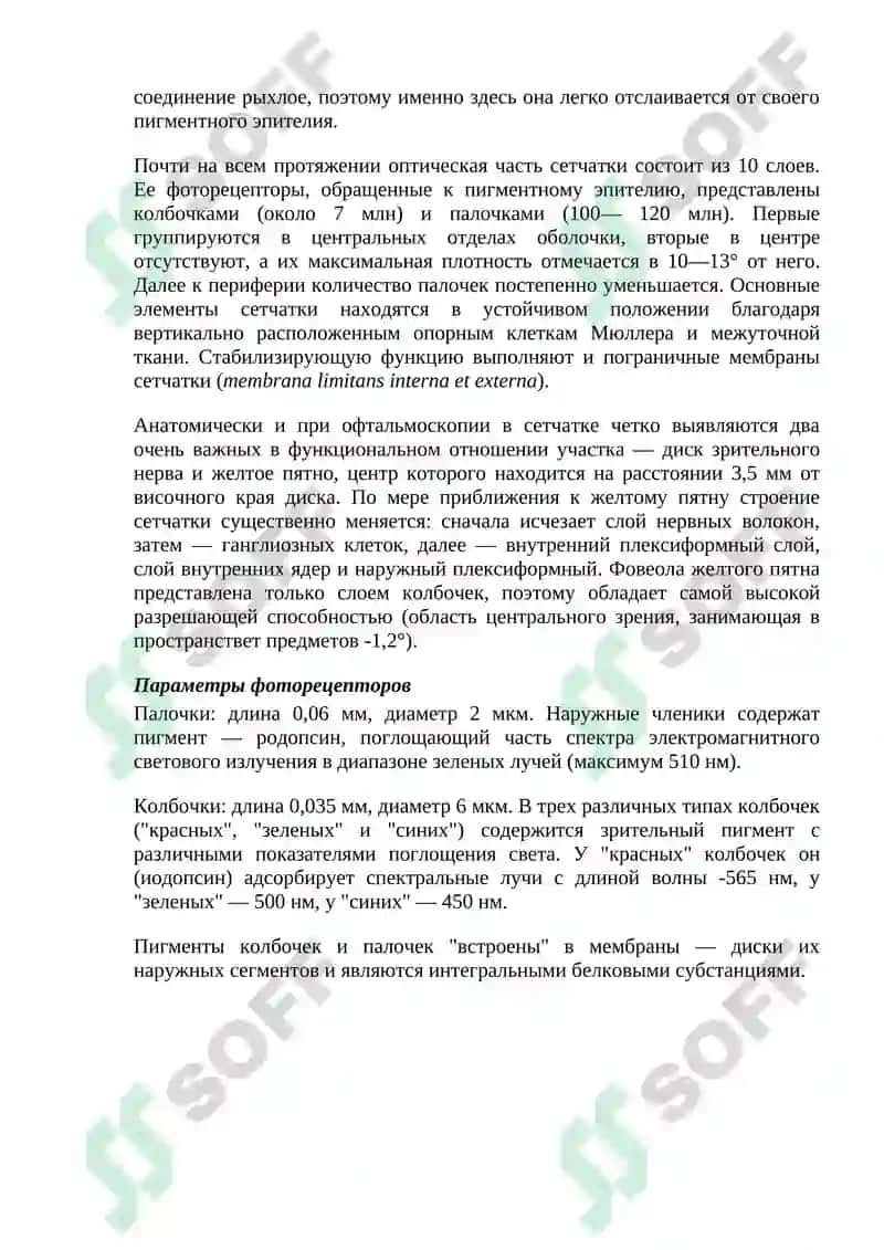 НОРМАЛЬНАЯ АНАТОМИЯ ОРГАНА ЗРЕНИЯ ЧЕЛОВЕКА 6