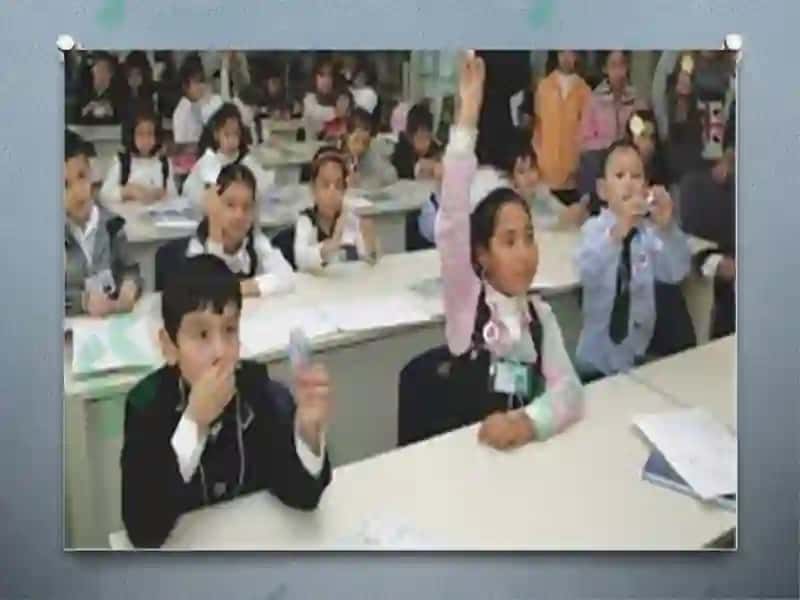 Davlat ta'lim standartlari 6