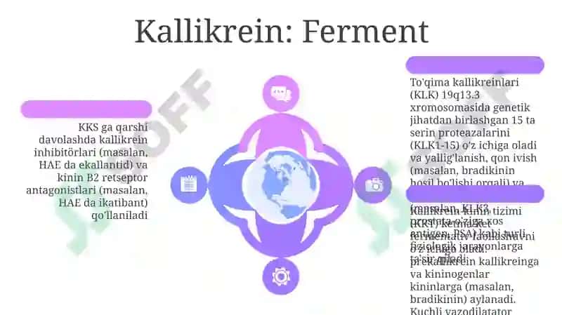 Kallikrein-kinin tizimi 6