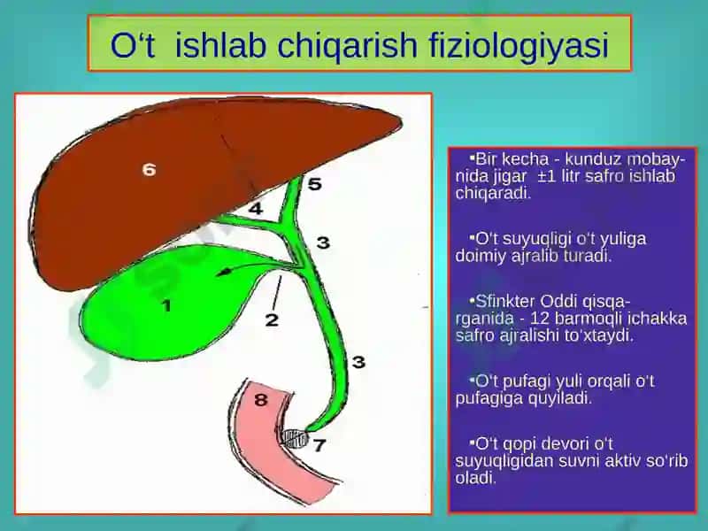 O‘t tosh kasalligi. Xoletsistitlar, diagnostikasi va davolash 6