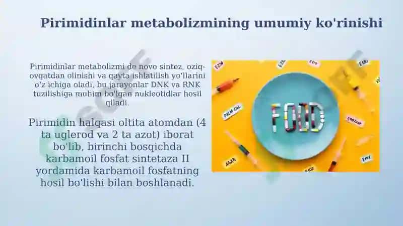 Purin va pirimidin asoslari almashinuvi 6