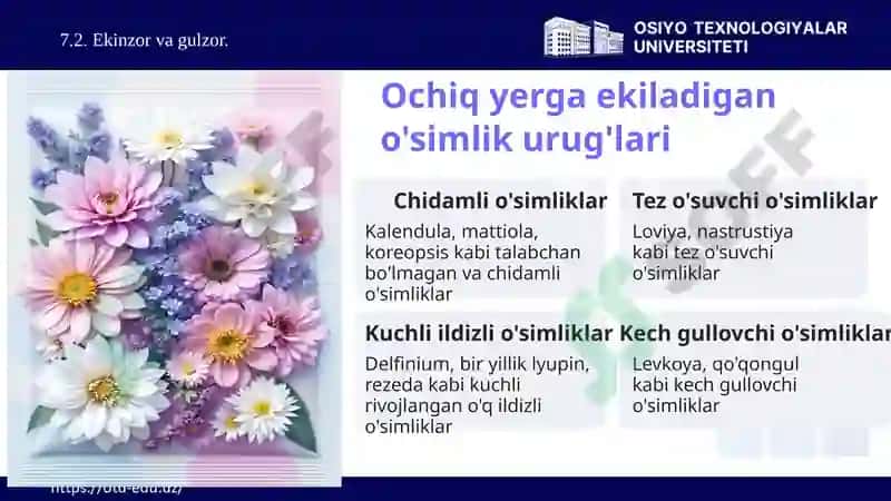 Mаktаbgаchа tа’lim tаshkilotlаridа yer mаydonchаlаrini tаshkil etish metodikаsi 6