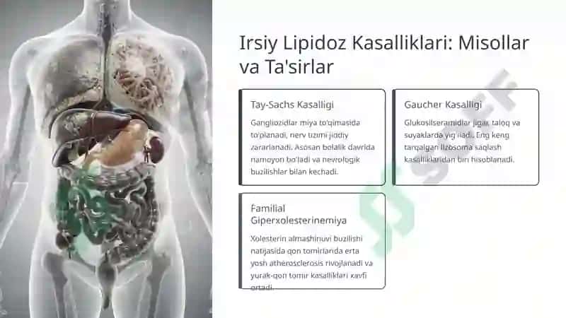 Yog'lar Almashinuvidagi Irsiy Buzilishlar: Molekuladan Klinikagacha 6