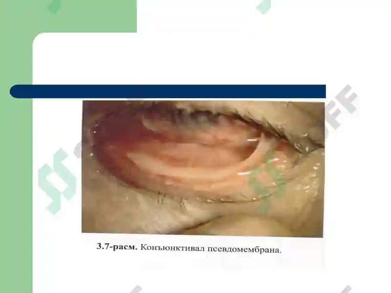 Тошкент Тиббиёт академияси 6