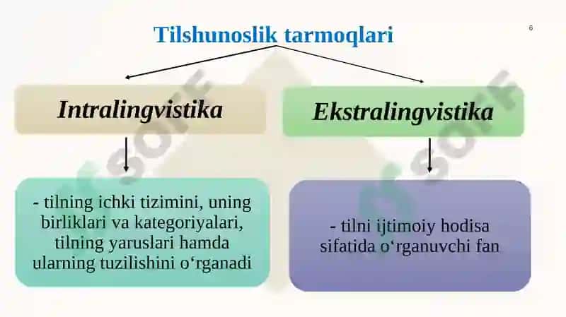 Tilshunoslik fanining o'rganish obyekti 6
