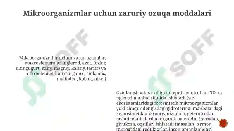 Mikroorganizlarning oziqlanishi va nafas olishi 6