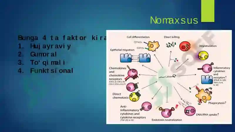 Immunpatologiya 6