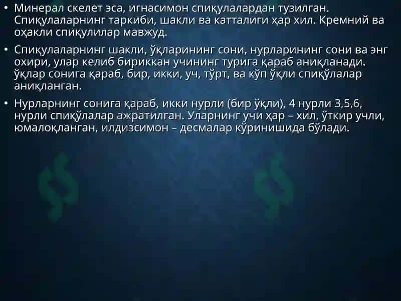 БУЛУТЛАР ТИПИ (Spongia) 6