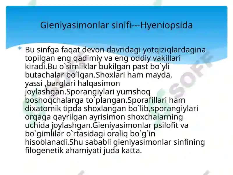 Qirqbo`g`imtoifao`simliklar 6