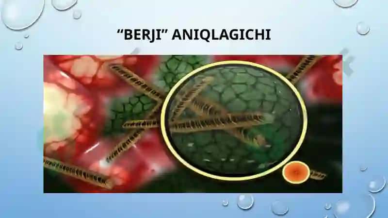 Bakteriyalaring “bejri” sinamasi 6