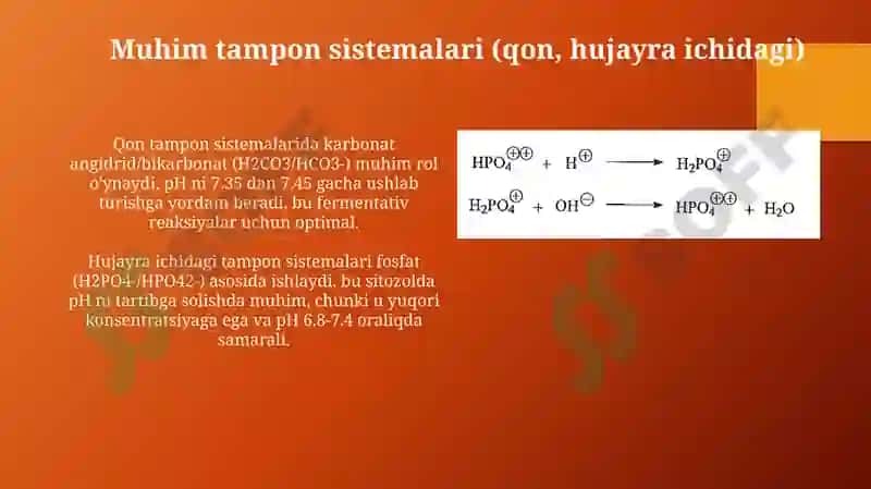 Buffer sistemalar 6