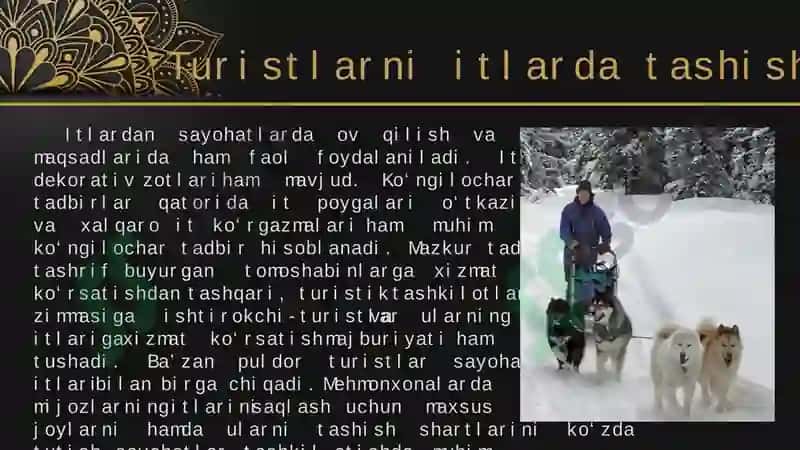 Turistlarga maxsus transport vositalarida xizmat ko’rsatish 6