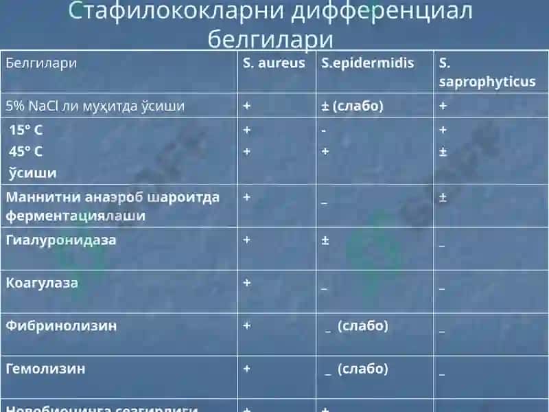 Йирингли яллиғланиш жараёнларини келтириб чиқарувчи микроорганизимлар. 6