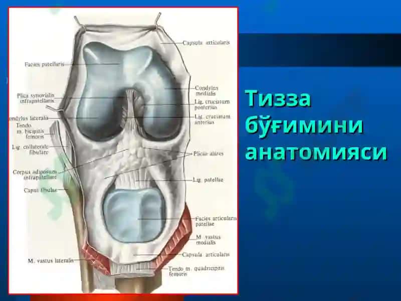 ТОШКЕНТ ТИББИЁТАКАДЕМИЯСИ ТРАВМАТОЛОГИЯ, ОРТОПЕДИЯ ВА ХДЖ КАФЕДРАСИ ЛЕКЦИЯ 6