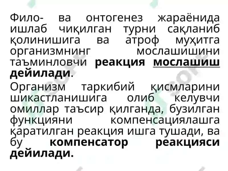 ТЎҚИМАЛАР ЯНГИЛАНИШИ ВА РЕПАРАЦИЯ: РЕГЕНЕРАЦИЯ, ТУЗАЛИШ ВА ФИБРОЗ 6