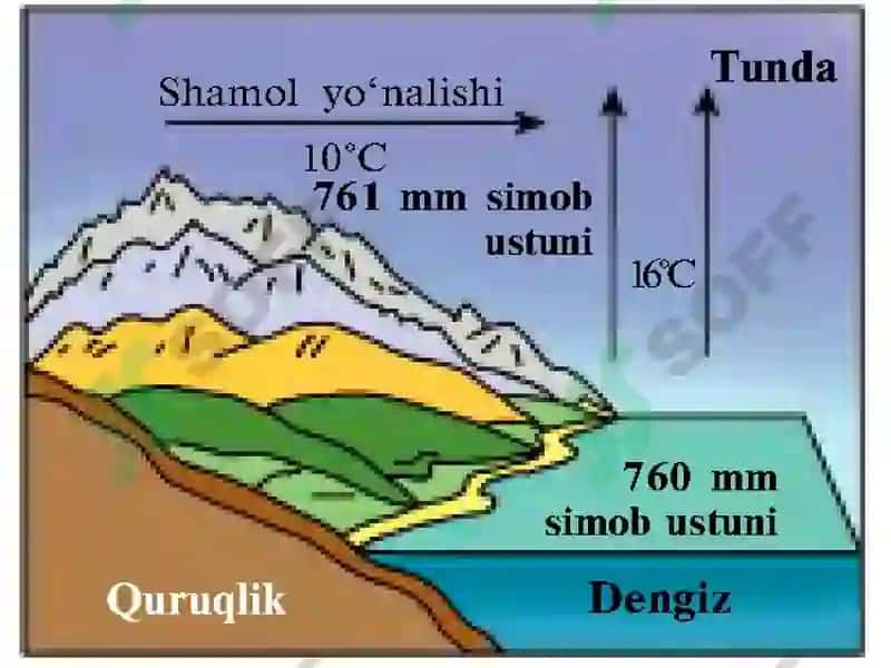 Shamollar va havo massalari 6