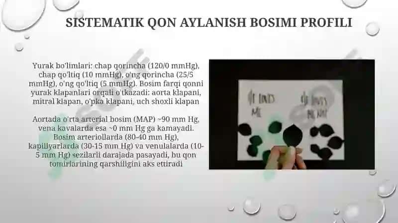 Kapillyar qon bosimi 6