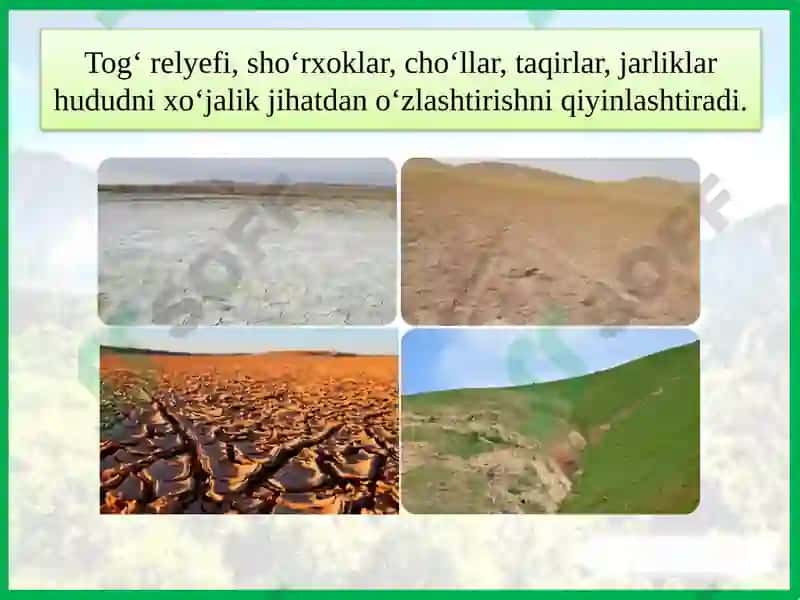 5-dars.O‘ZBEKISTONNING TABIIYSHAROITI VATABIIY BOYLIKLARI 6