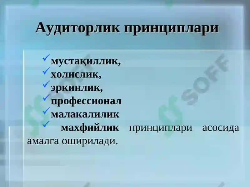 Аудиторлик фаолияти тўрисида қонун 6