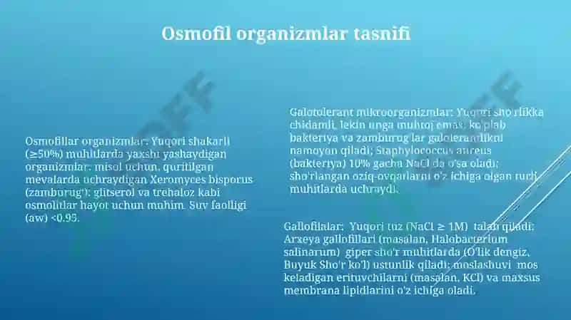 Halofillar, osmofilalar va galoterant mikroorganizmlar 6