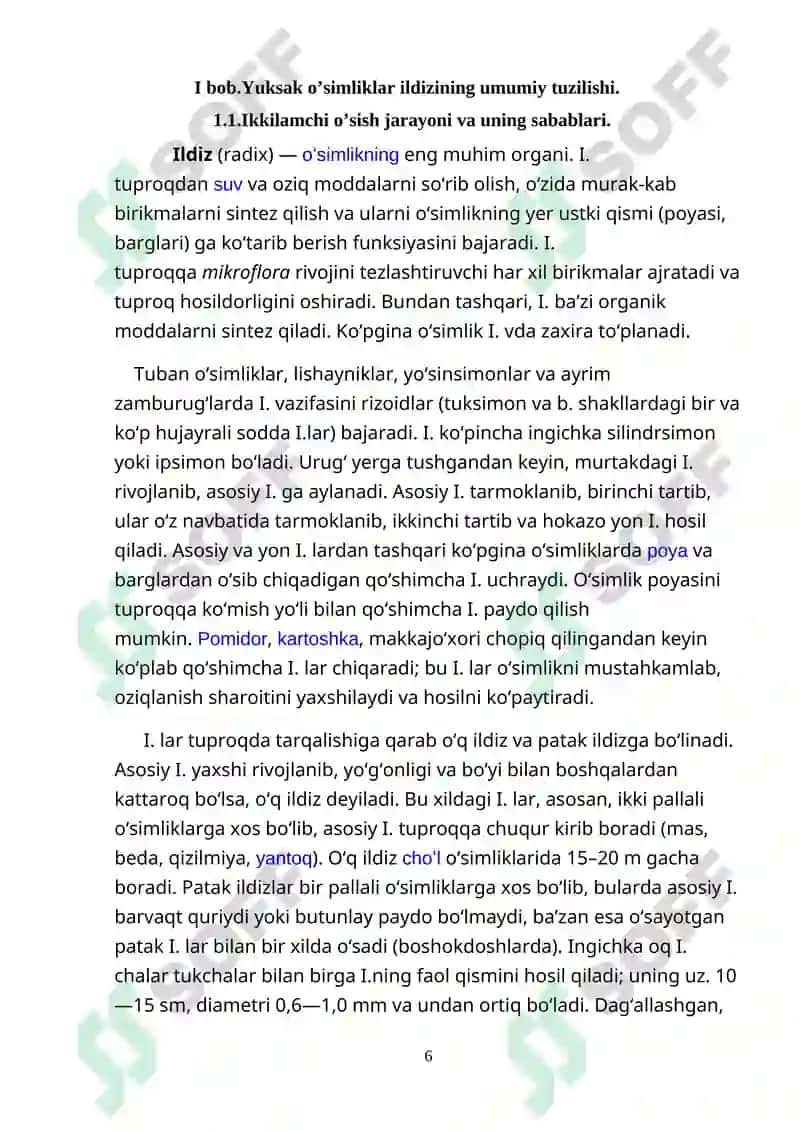 Yuksak o’simliklar ildizlarining ikkamchi anatomik tuzilishi 6