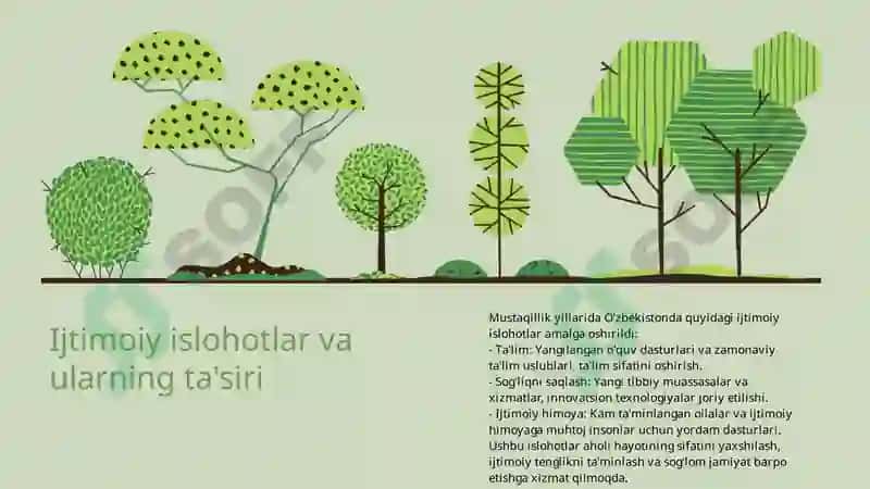 Davlat boshqaruvi islohotlari 6