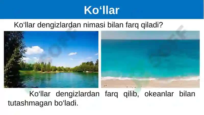 Geografiya 6