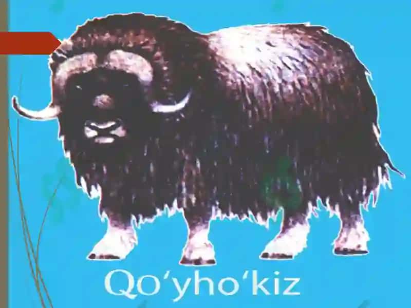 7-sinf Geografiya fanidan Shimoliy Muzokeani 6