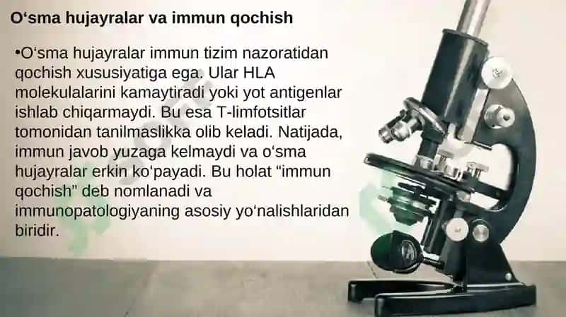 Immunopatologiya o’sma hujayralarining kelib chiqishidagi ahamiyati. Immun tanqisliklarda opportunistik infeksiyalar boshqarilishining molekulyar mexanizmi 6