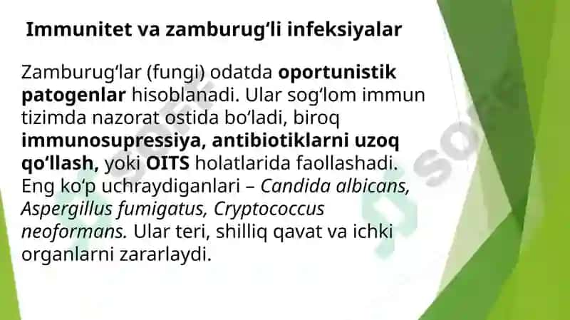 Imunitet tizimi faoliyati bilan zamburug'li va parazitar kasalliklar kelib chiqishidagi bog'liqliklar 6