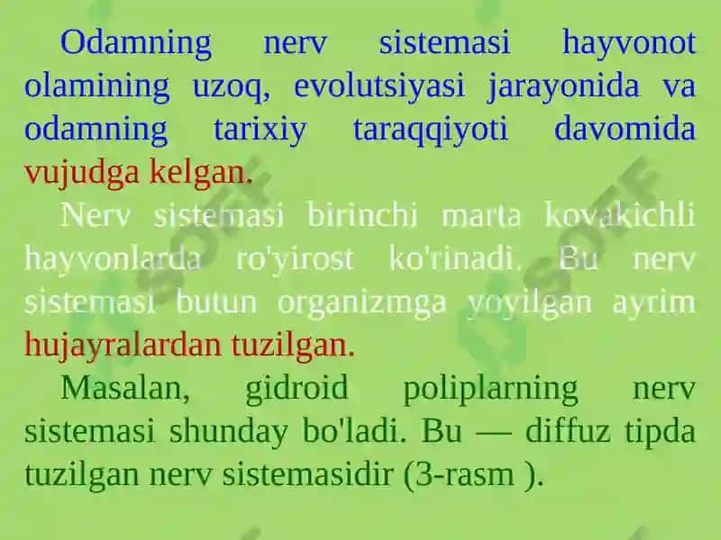 PSIXIKANING NERV-FIZIOLOGIK ASOSLARI 6
