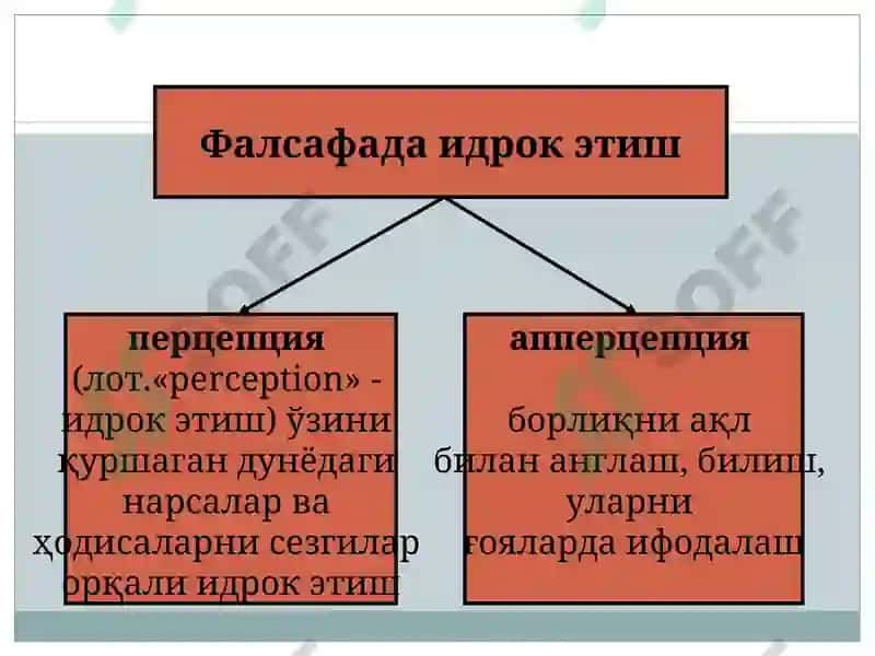 Bilish falsafasi (Gnoseologiya) 6