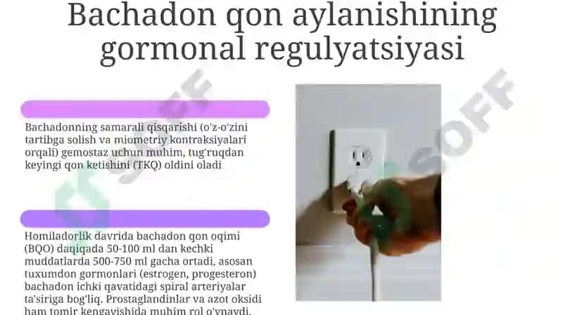 Tug'ruqdan keyingi gemodinamik o'zgarishlar 6