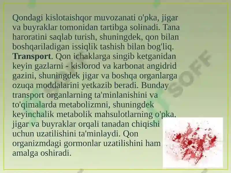 Qonning tuzilishi, funksiyalari va yoshga oid xususiyatlari 6