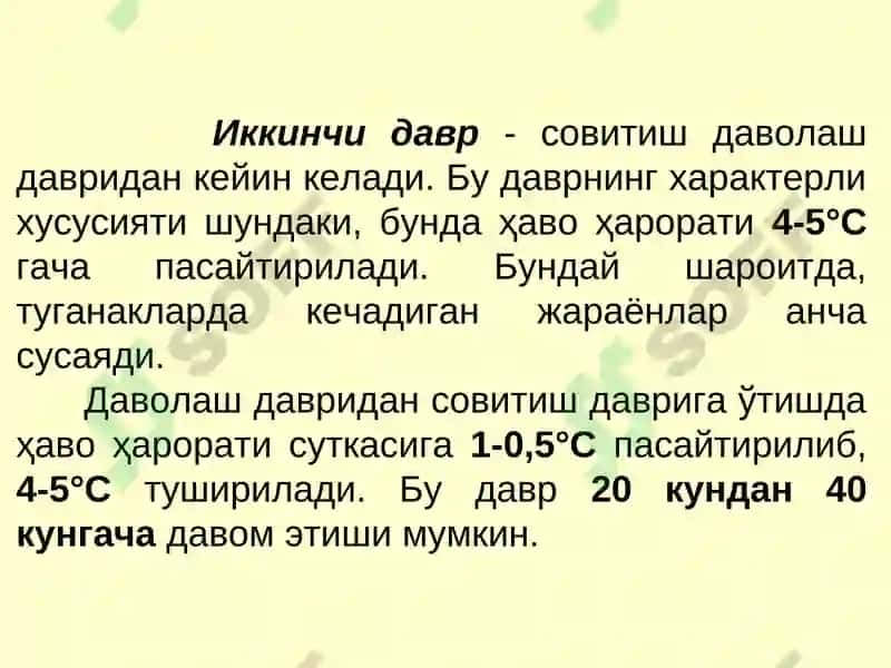 Картошка ва полиз маҳсулотларини сақлаш технологияси 6