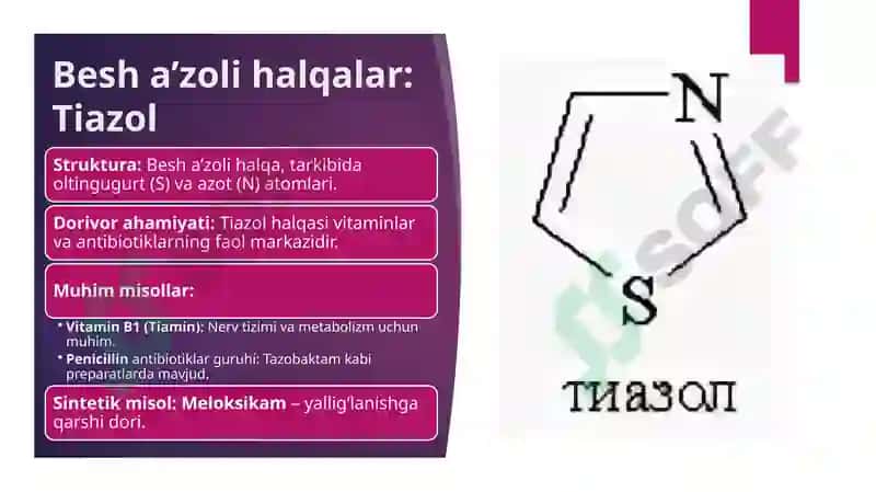 Dorivor preparatlar tarkibidagi besh va olti a’zoli aromatic birikmalar 6